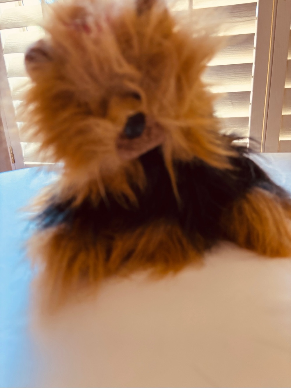 Ty Yappie the Yorkie Vintage 1987 Plush Stuffed Animal Dog - Picture 13 of 14